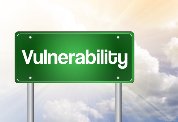 Vulnerability Assessment and Penetration Testing  (VAPT) for a Hospital and Its Subsidiary